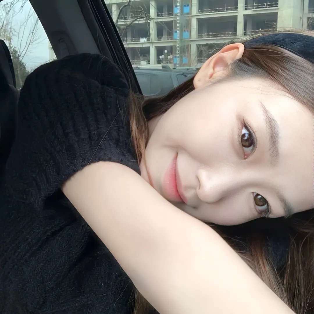 鸽之翼